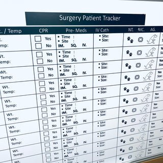 Patient Surgery Tracker 12