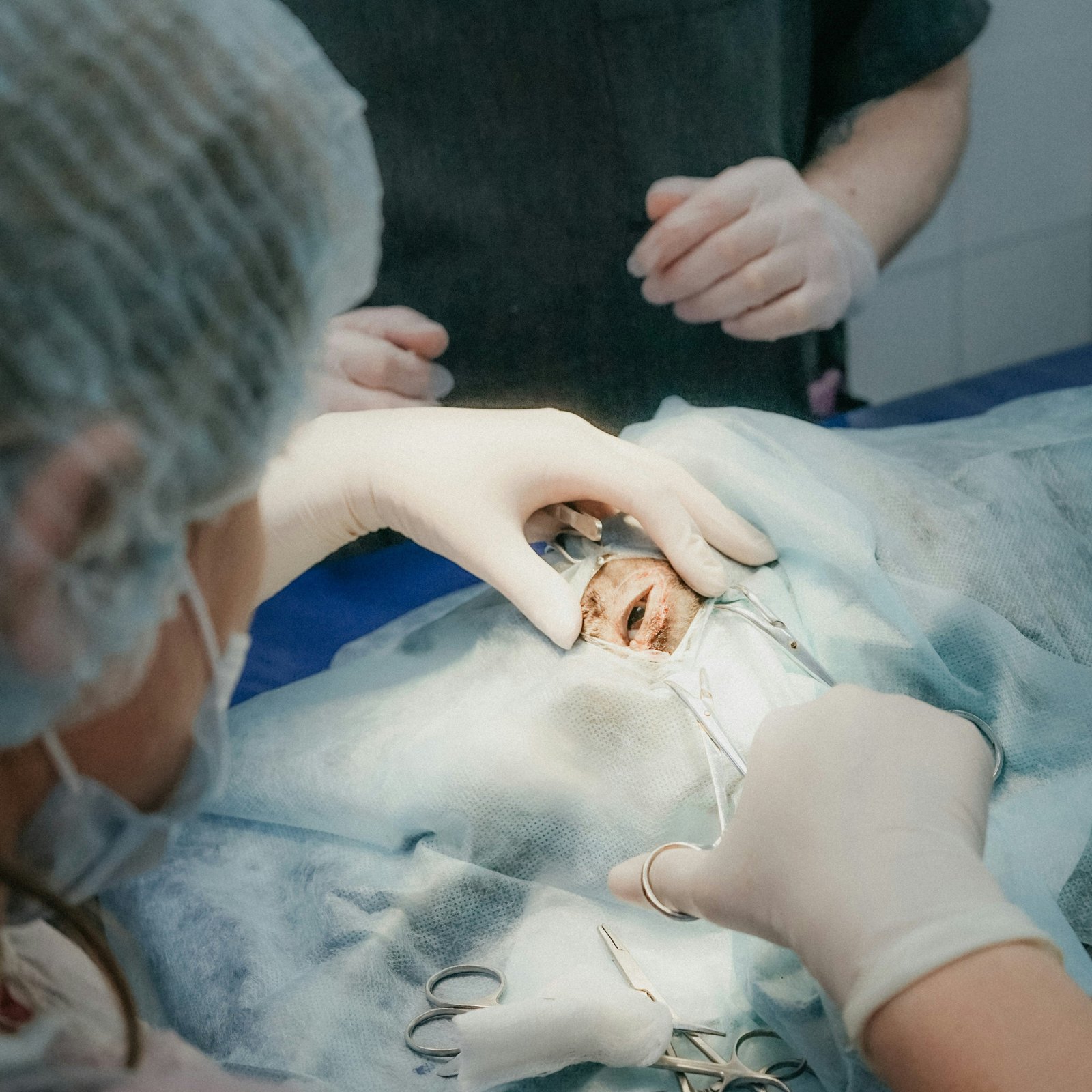 Vetcare Image 2